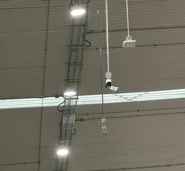 portfolio item photo